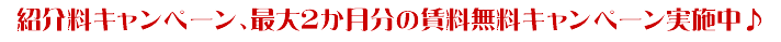 キャンペーンタイトル